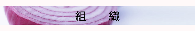 gD